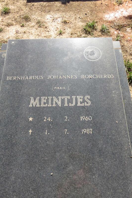 MEINTJES Berhardus Johannes Borcherds 1960-1987