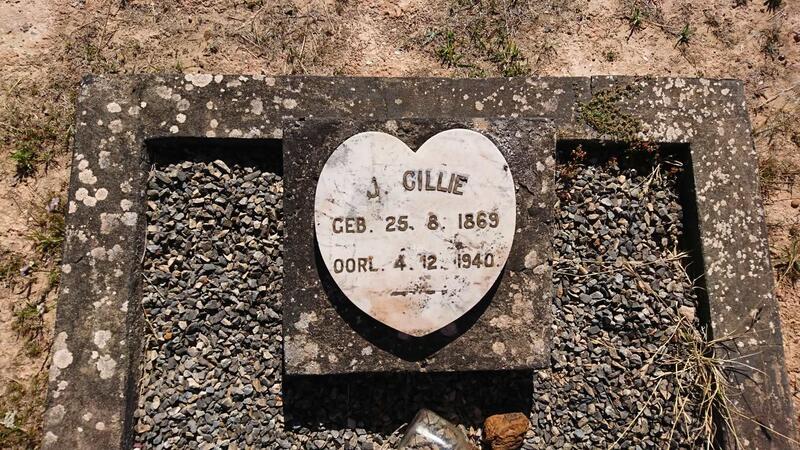 CILLIE J. 1869-1940