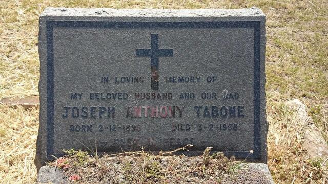 TABONE Joseph Anthony 1895-1956