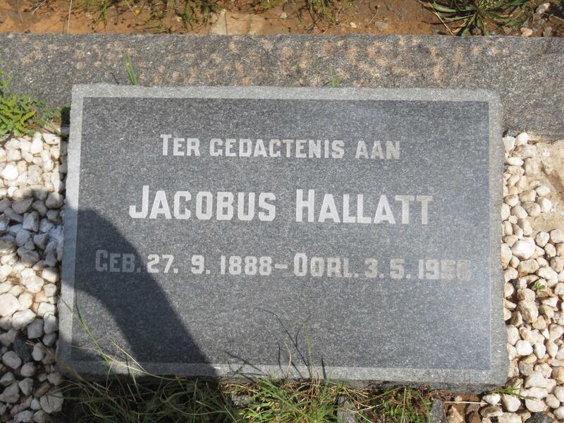 HALLATT Jacobus 1888-1956