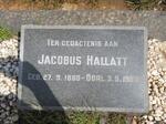 HALLATT Jacobus 1888-1956