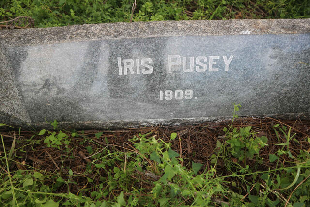 PUSEY Iris -1909