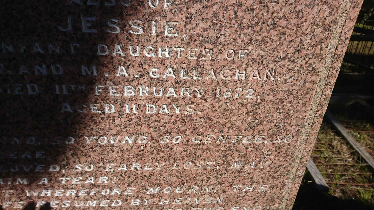 CALLAGHAN John William -1885 & Janet GLEN -1870 :: CALLAGHAN Archibald McIntyre -1863 :: CALLAGHAN Jessie -1872