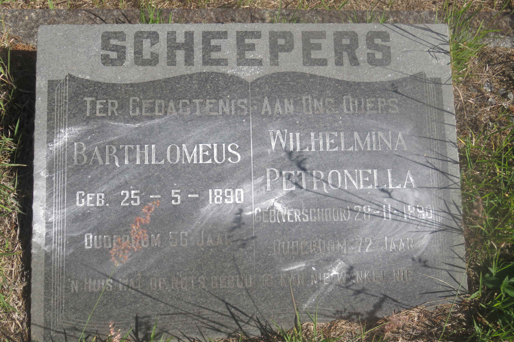 SCHEEPERS Barthlomeus 1890- & Wilhelmina Petronella VERSCHOOR 1890-