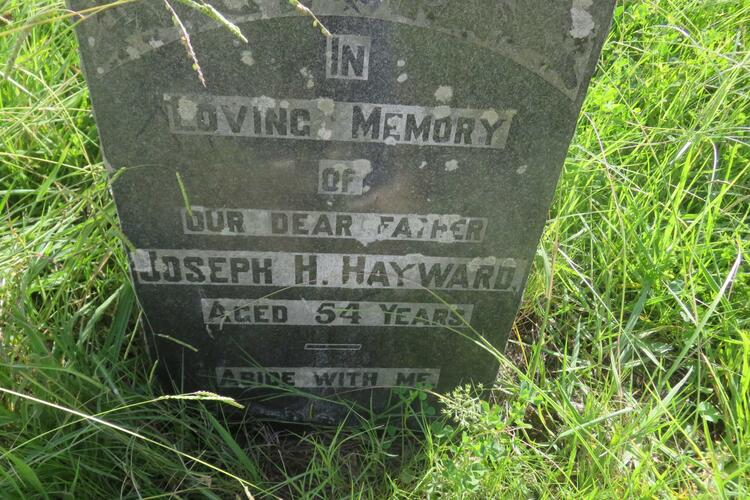 HAYWARD Joseph H.