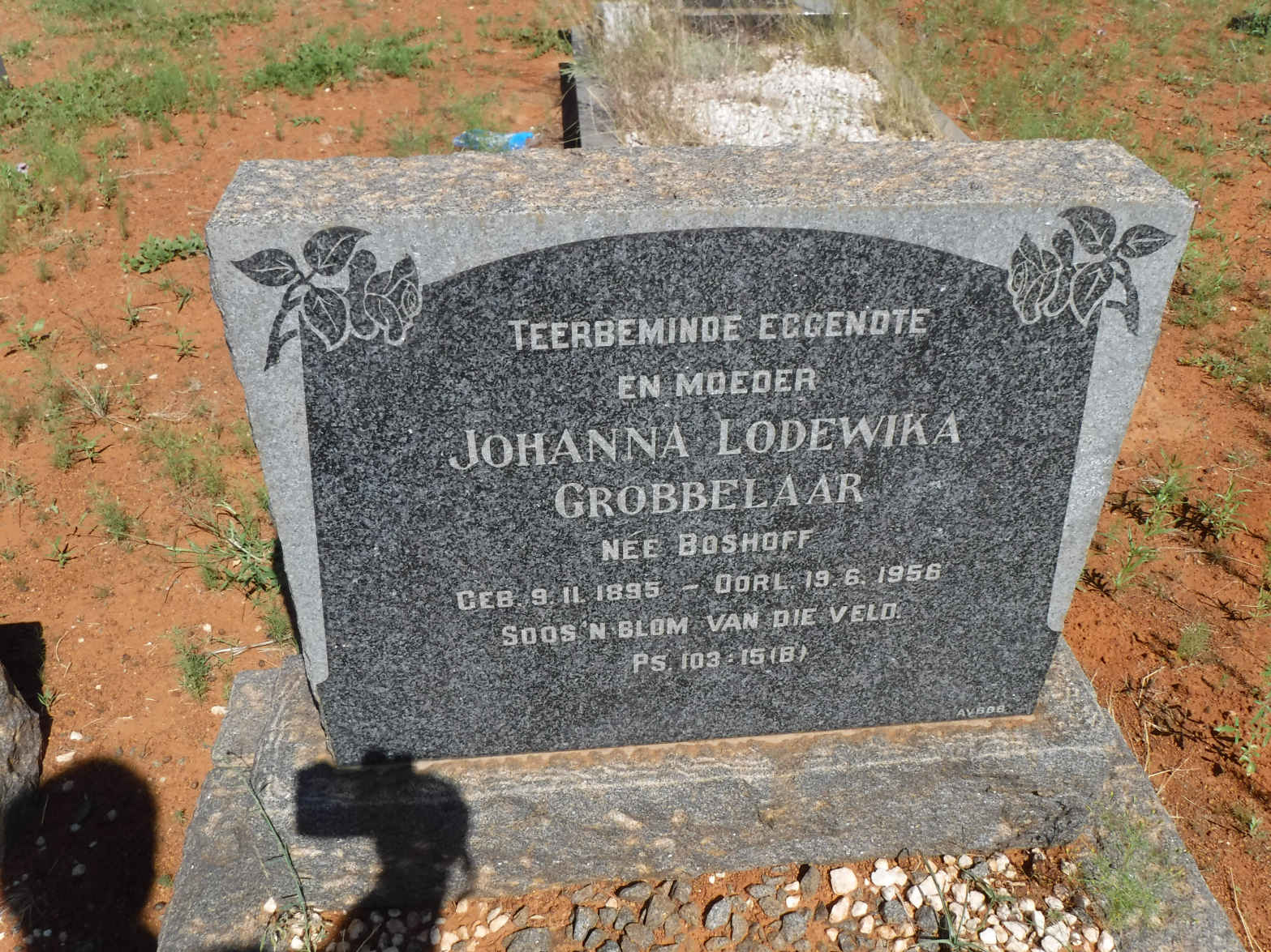 GROBBELAAR Johanna Lodewika nee BOSHOFF 1895-1956
