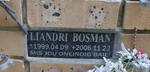 BOSMAN Liandri 1999-2006
