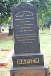 NAPIER Andrew 1841-1909