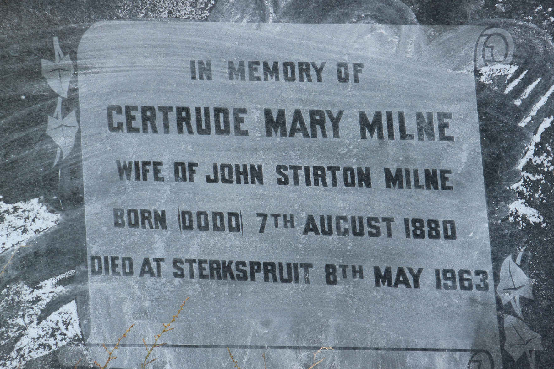 MILNE Gertrude Mary nee DODD 1880-1963