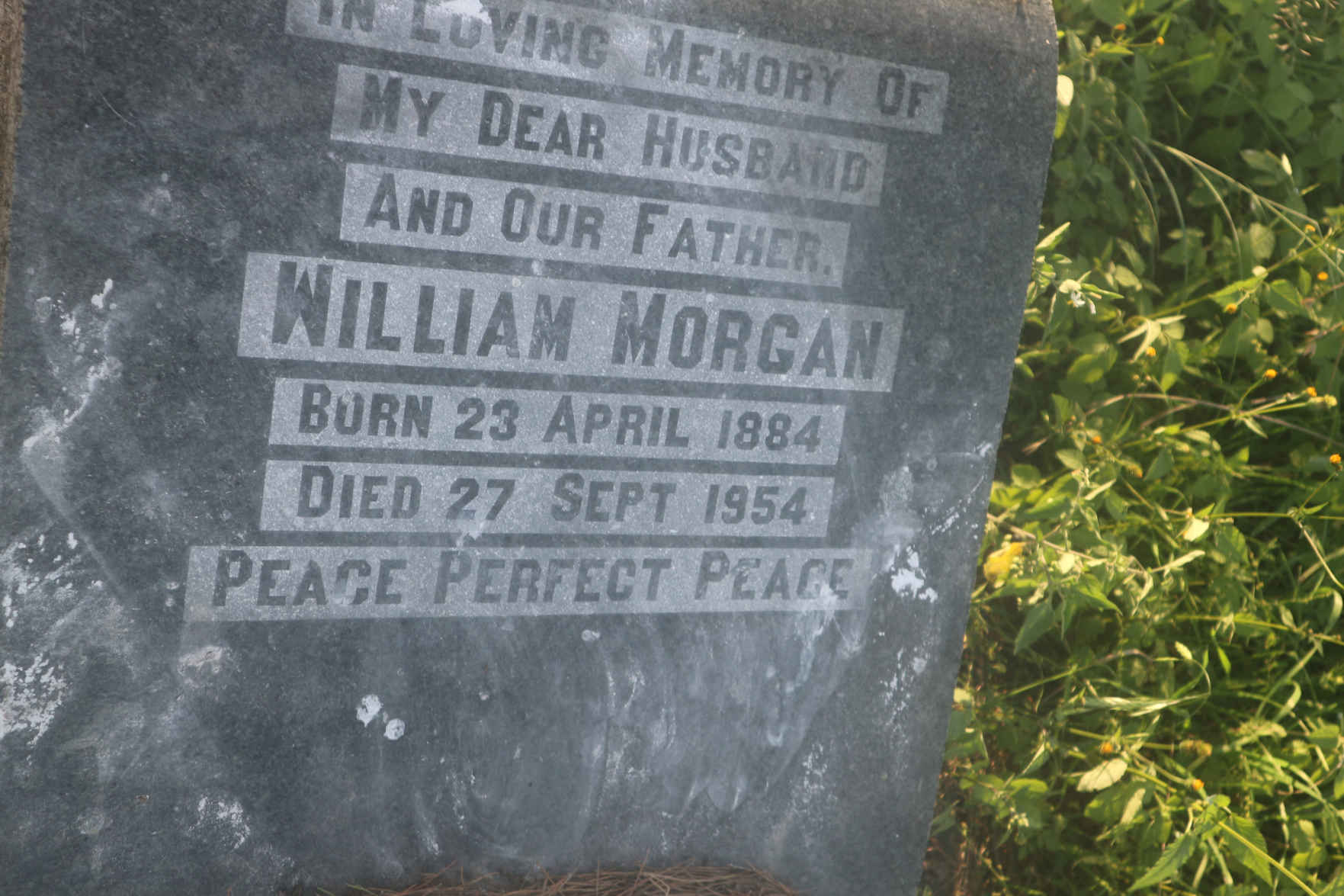 MORGAN William 1884-1954