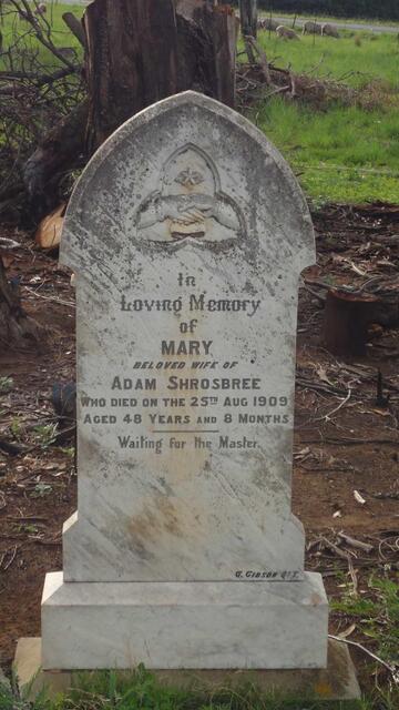 SHROSBREE Mary -1909