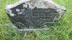 HAYWARD William Henry 1839-1912 & Mary Ann NELSON 1845-1928