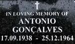 GONÇALVES Antonio 1938-1964