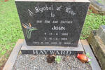 HAYWARD John 1959-1994