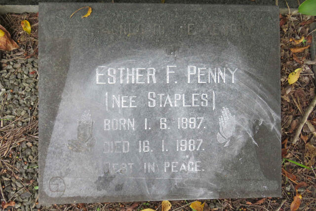 PENNY Esther F. nee STAPLES 1897-1987