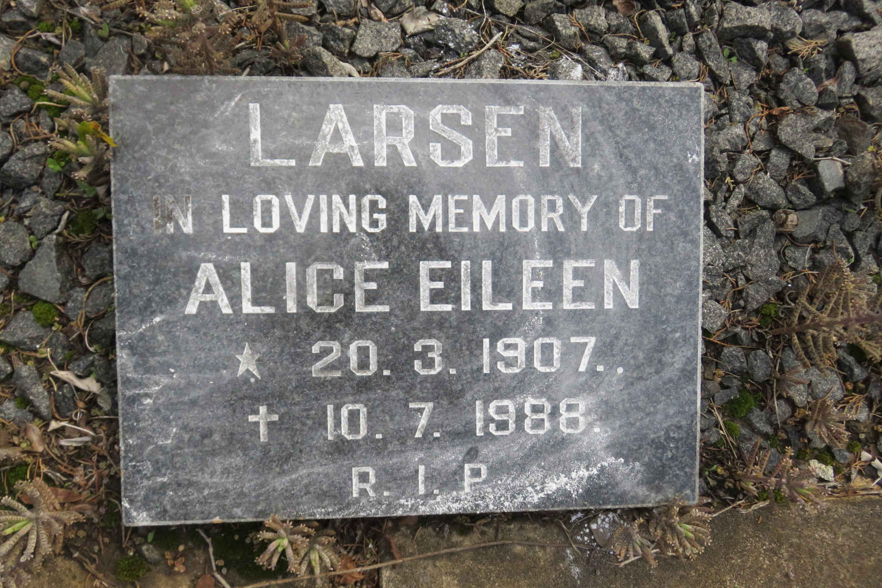 LARSEN Alice Eileen 1907-1988