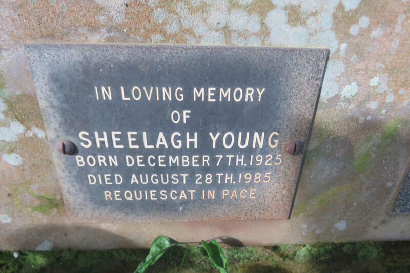 YOUNG Sheelagh 1925-1985