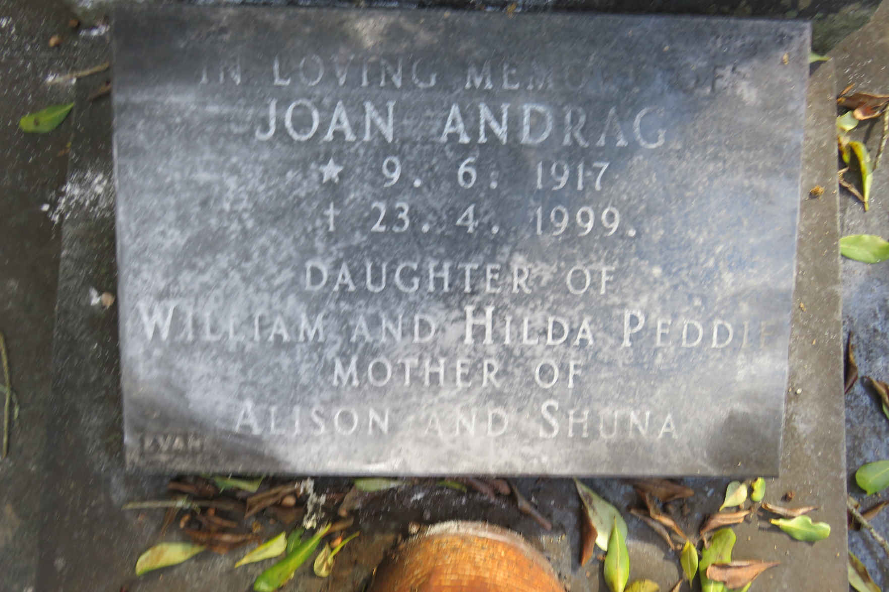 ANDRAG Joan 1917-1999