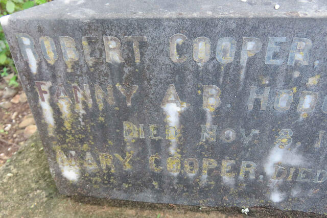 COOPER Robert -1871 :: HODGKINSON Fanny A.B. nee COOPER -1903 :: COOPER Mary -1907