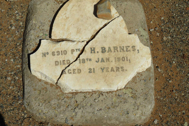 BARNES H. -1901