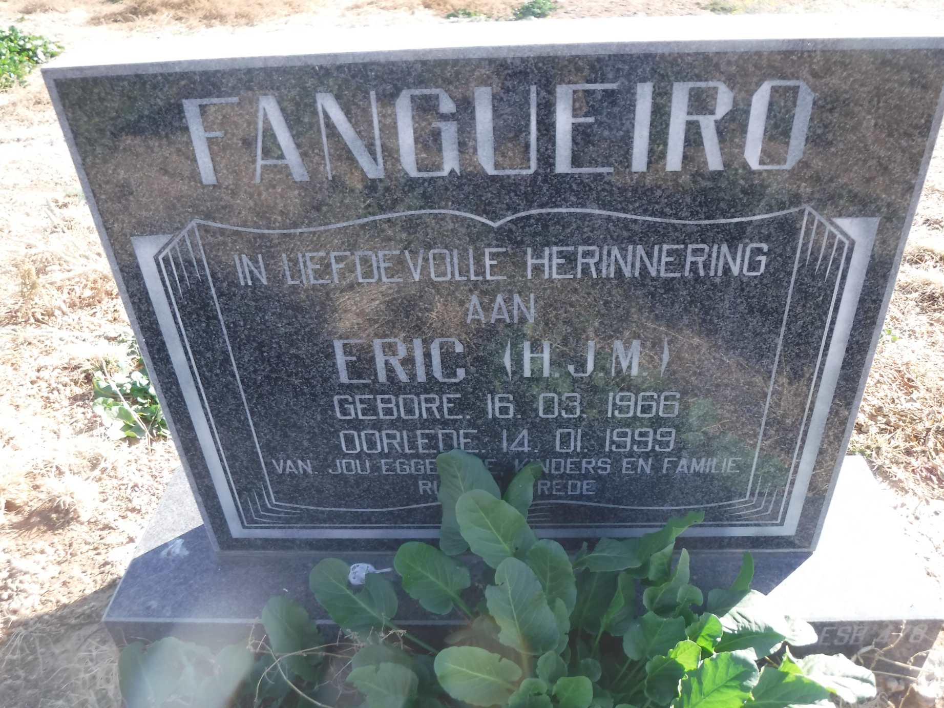 FANGUEIRO H.J.M. 1966-1999