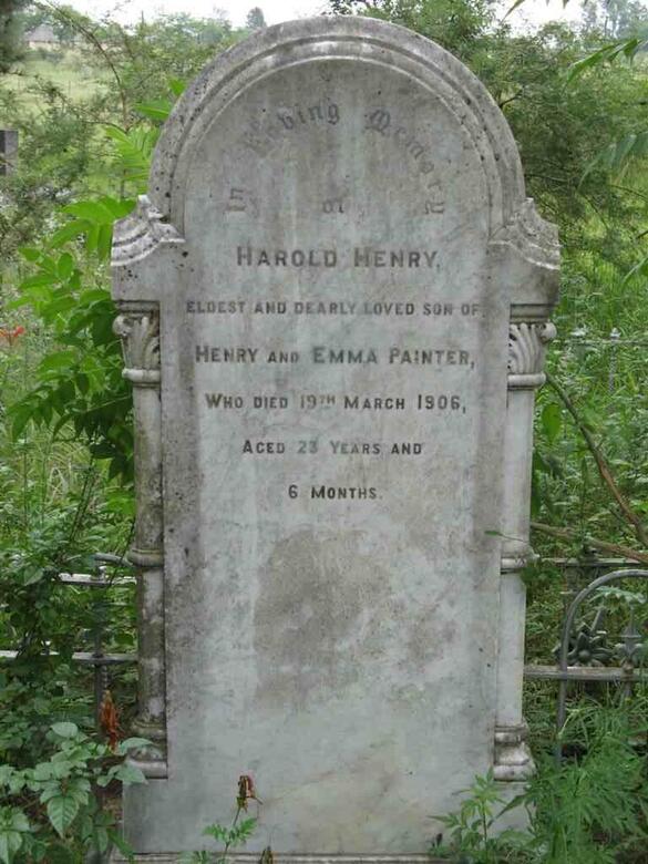 PAINTER Harold Henry -1906