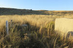 Free State, BETHULIE district, Cyferfontein 507, farm cemetery