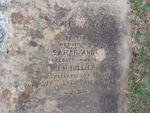 HILLIER Sarah Anne -1872