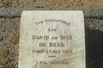 BEER David, de -1918 & Iris -1918