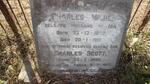 MILNE Charles 1879-1910 :: MILNE Charles Scott 1896-1917