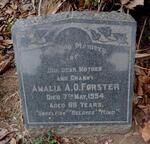 FORSTER Amelia A.O. -1954