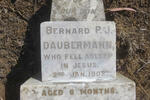 DAUBERMANN Bernard P.J. -1908