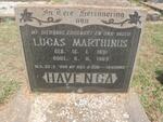 HAVENGA Lucas Marthinus 1891-1962