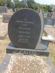 CALITZ Hannes 1929-1975