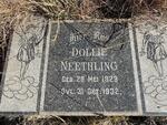 NEETHLING Dollie 1929-1932