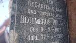 PELSER Bloemerus 1926-1960