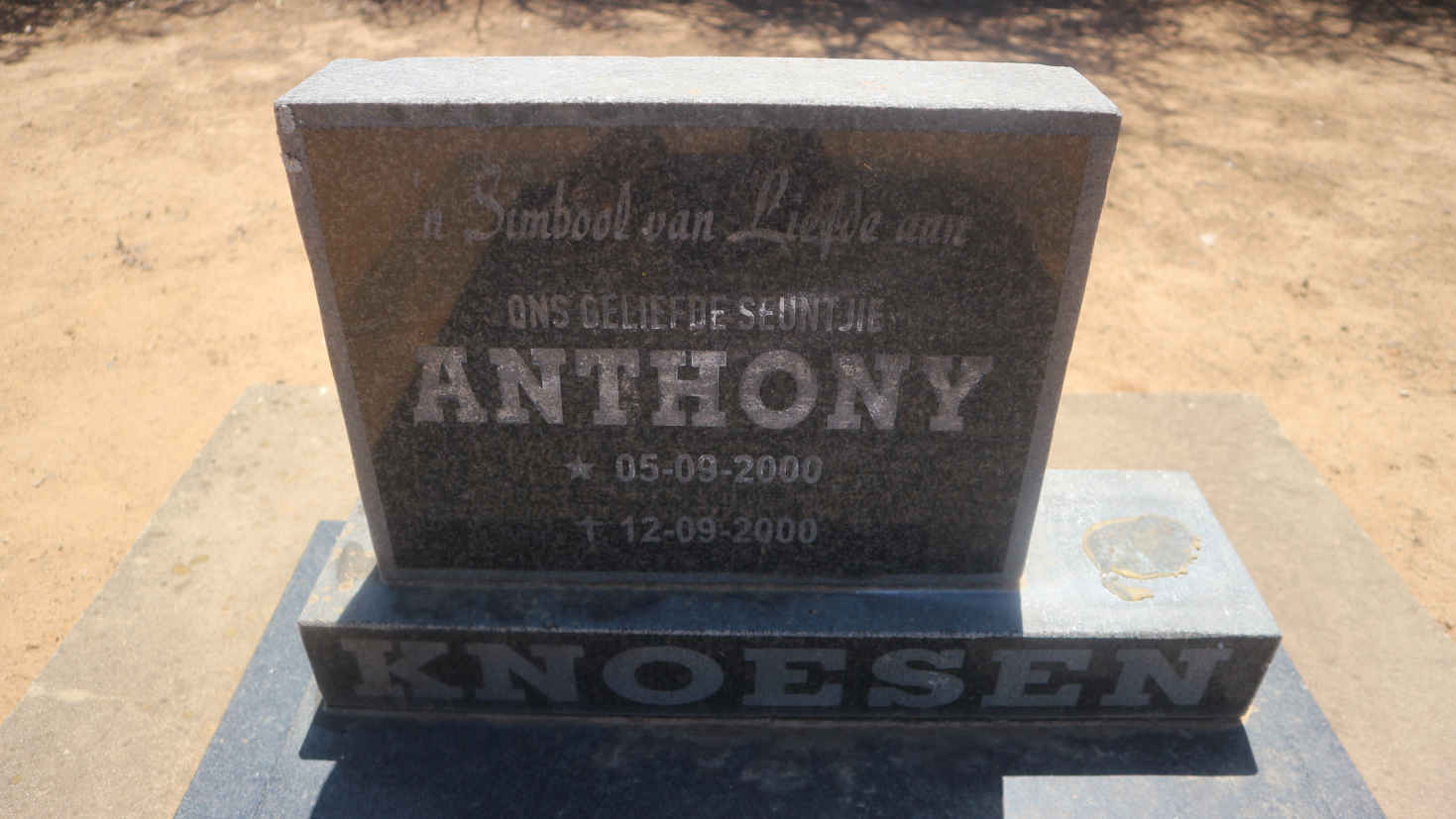 KNOESEN Anthony 2000-2000