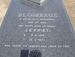 BLOMERUS J.E.P. 1916-1993