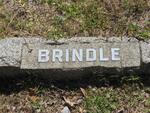 BRINDLE ?