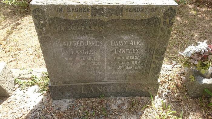LANGLEY Alfred James -1958 & Daisy Alice REED 1884-1961