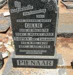PIENAAR Gillie 1876-1939 & Sophy THERON 1872-1956