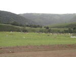 Eastern Cape, SIPHAQENI district, Rural (farm cemeteries)