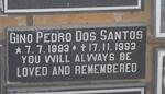 SANTOS Gino Pedro, Dos 1983-1993