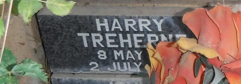 TREHERNE Harry