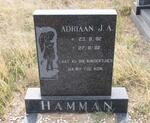 HAMMAN Adriaan J.A. 1982-1982