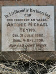 HEYNS Antonie Michael 1862-1936