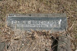 BORCHERDS Carlie 1913-1916