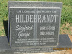 HILDEBRANDT Siegfried George 1968-2010