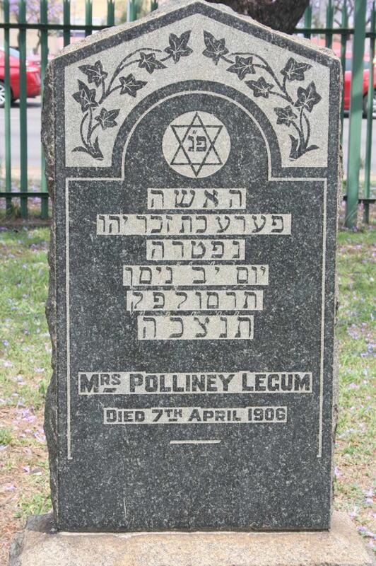 LEGUM Polliney -1906