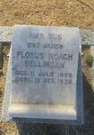 BELLINGAN Florus Noach 1859-1938
